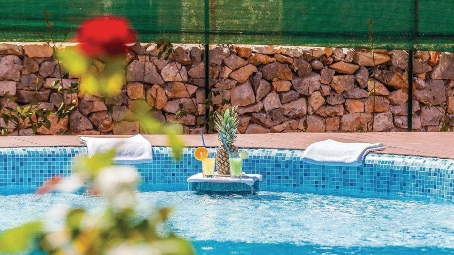 Holiday home Geraeumige, Topmoderne Ferienvilla Mit Eigenem Pool Rasopasno